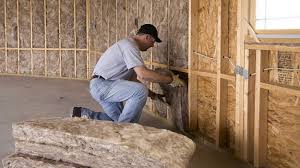 Best Insulation for New Construction  in Hudson, WI