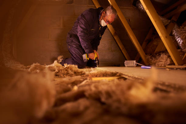 Professional Insulation in Hudson, WI